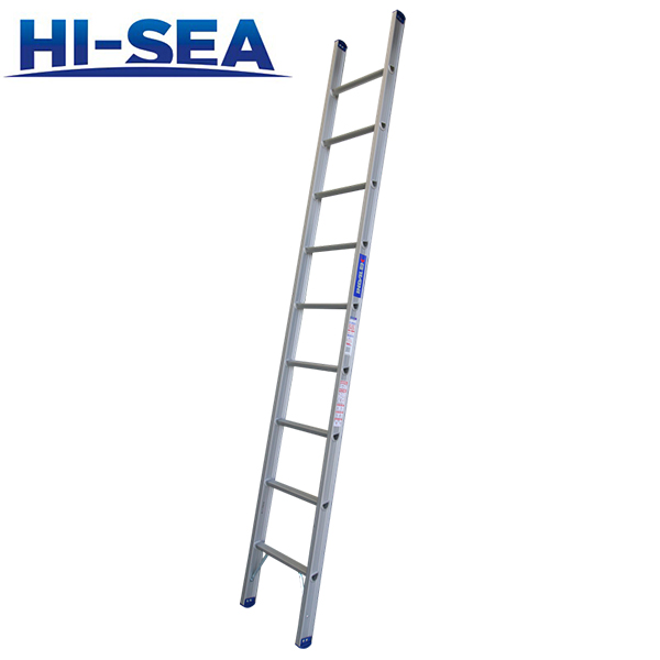 Marine Stainless Steel Vertical Ladder